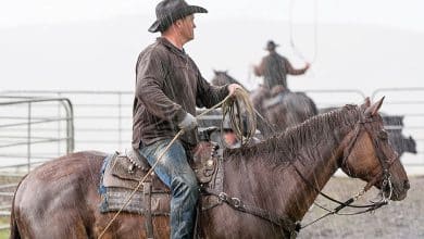 Cowboy with hat under the rain