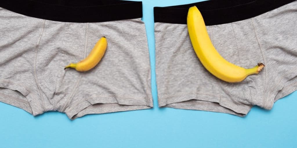 best underwear for big dicks