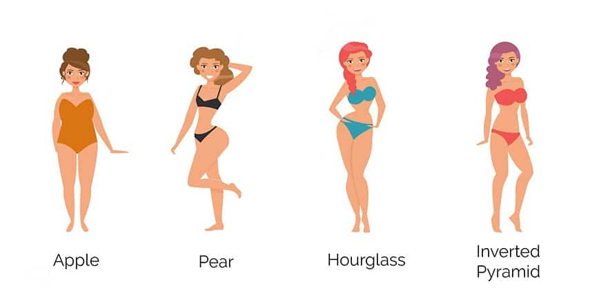 Women Body Shapes